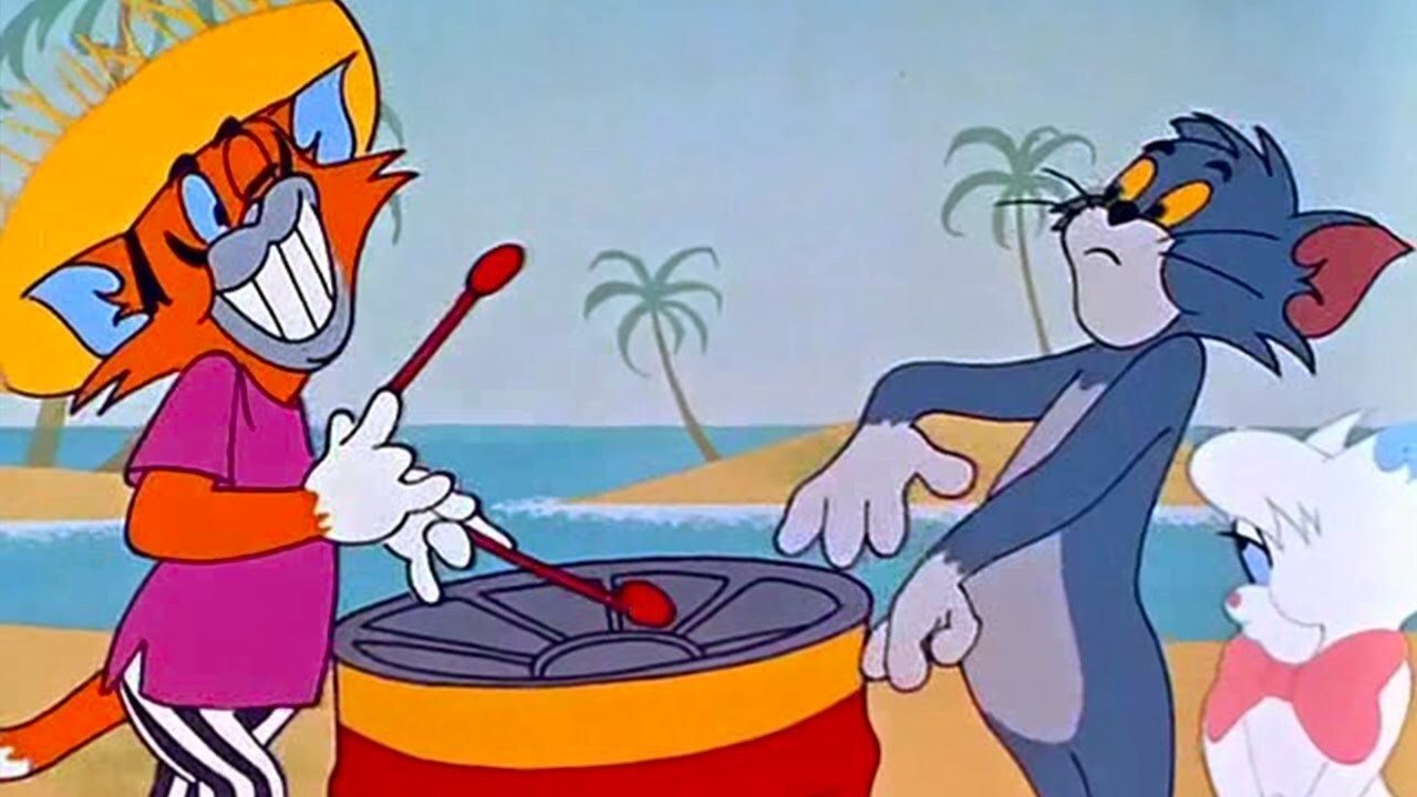 Calypso Cat Background