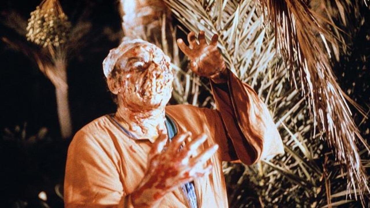 Dawn of the Mummy Background