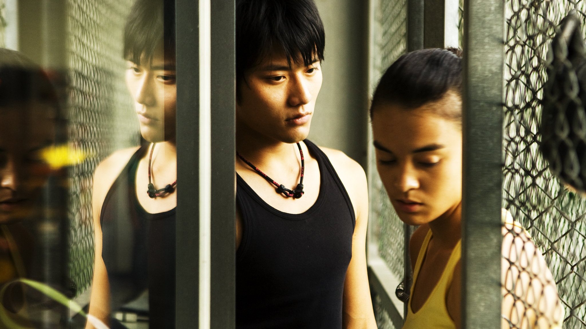 Yang Yang Background