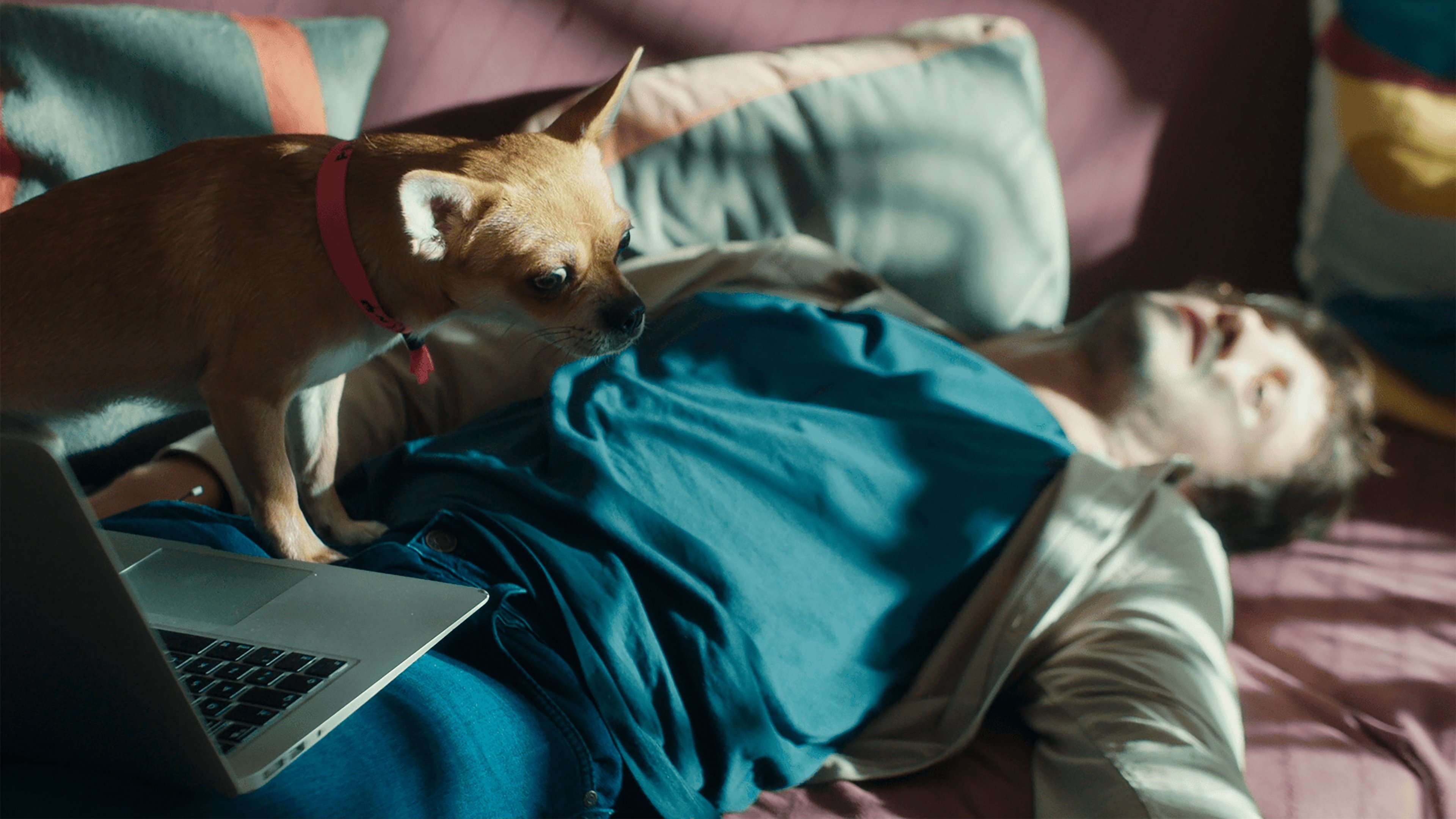 Dreams, Hopes and Rotating Dolphins Background