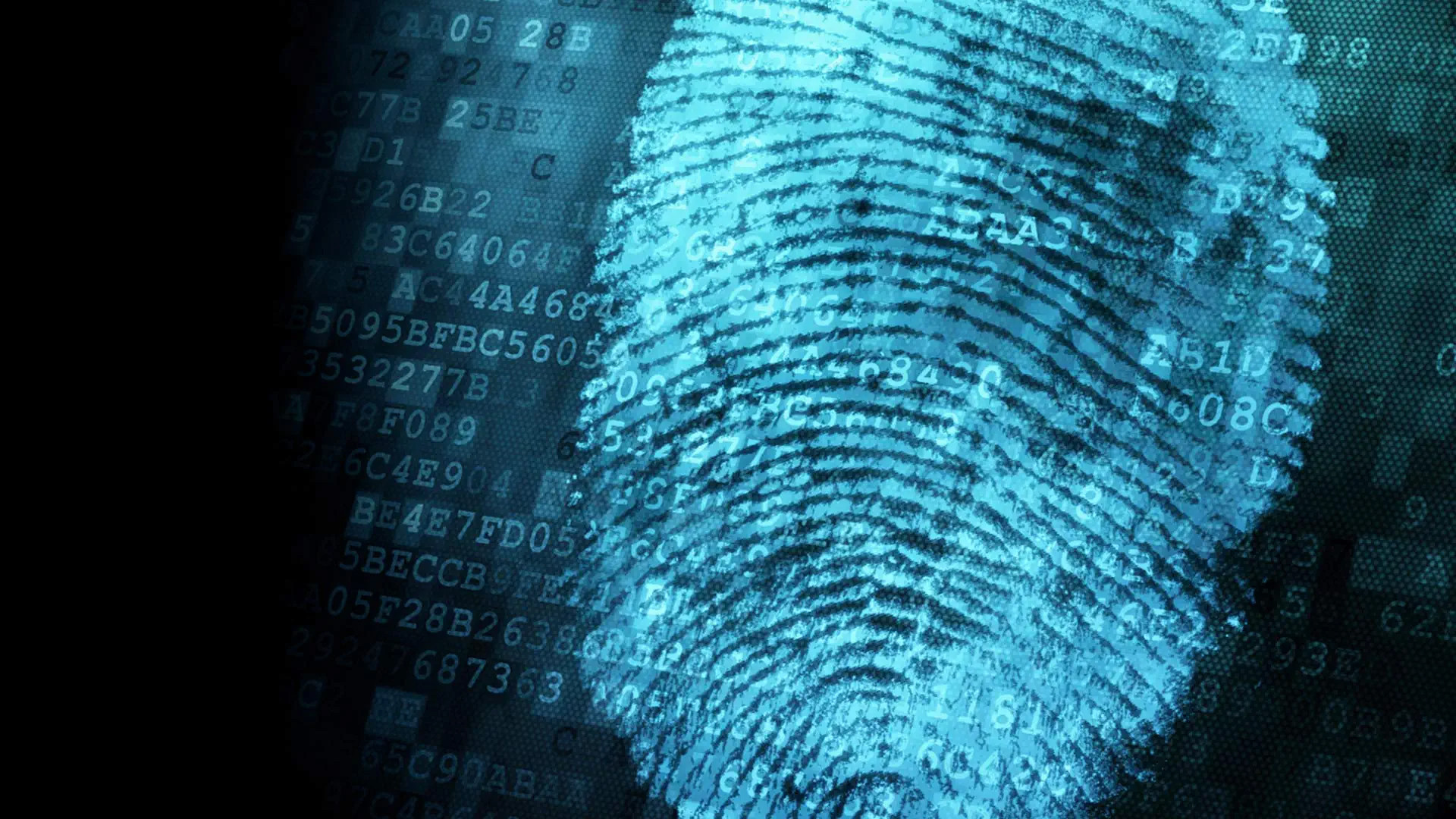 The New Detectives Background