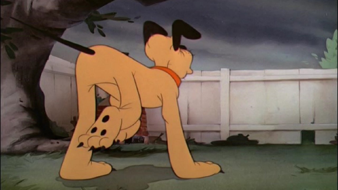 The Sleepwalker Background