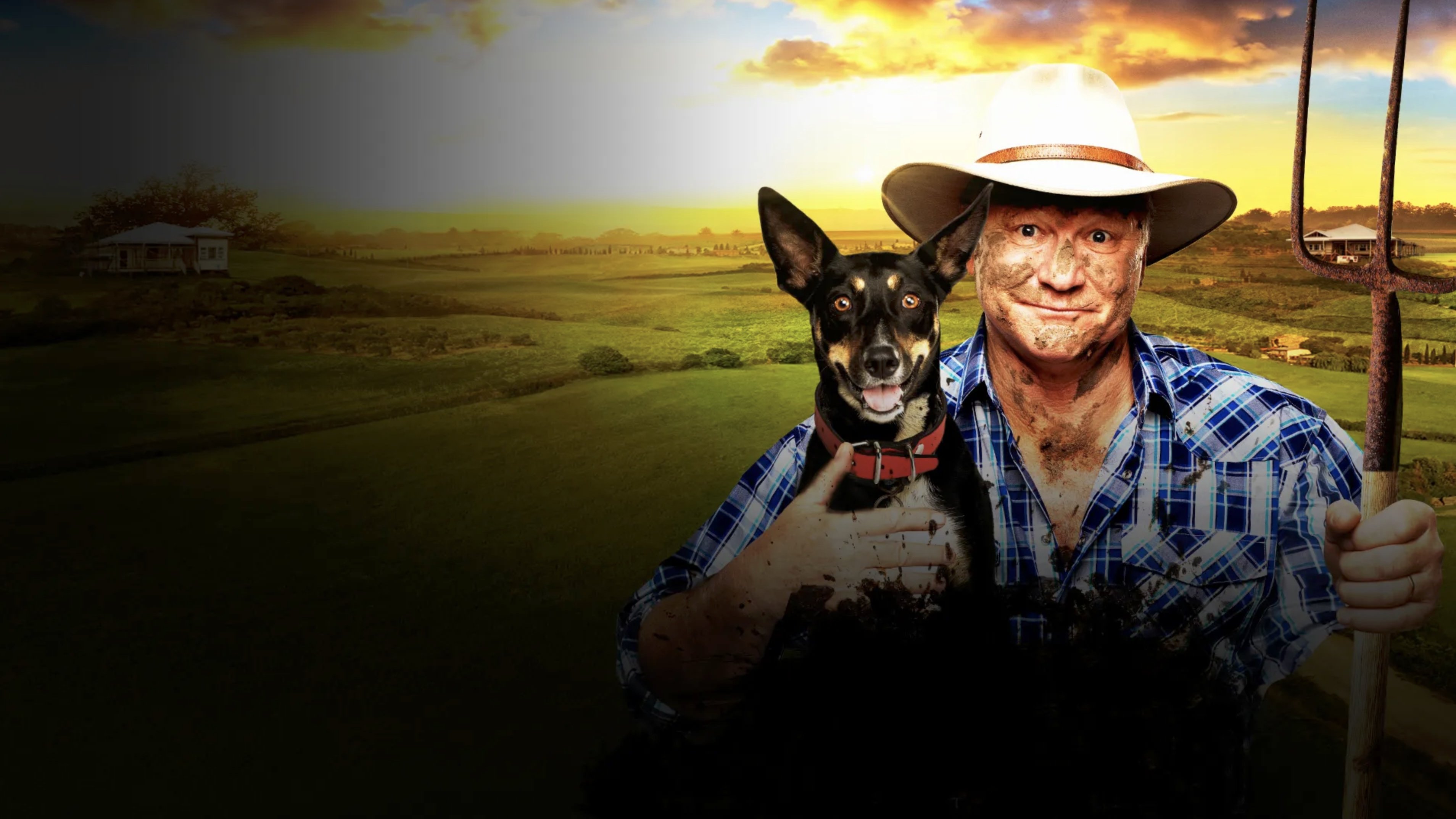 The Block Background