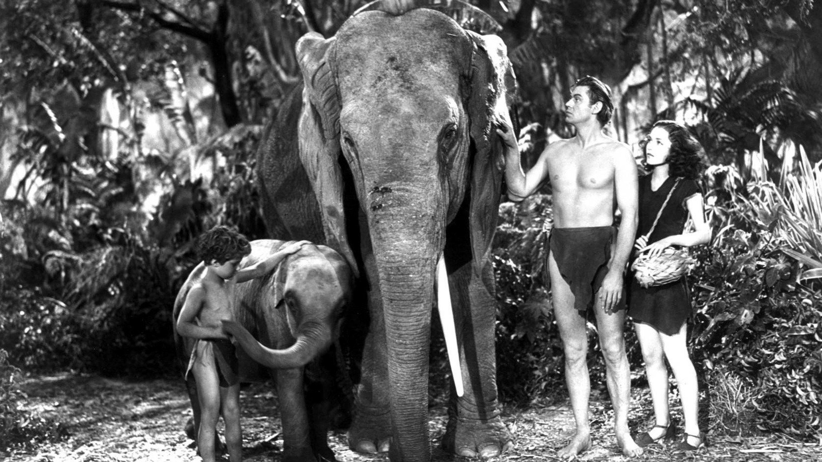 Tarzan Finds a Son! Background