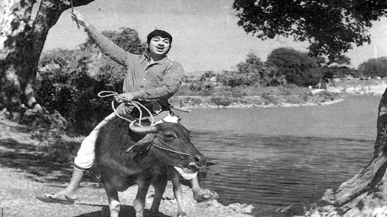 Sampatthige Savaal Background