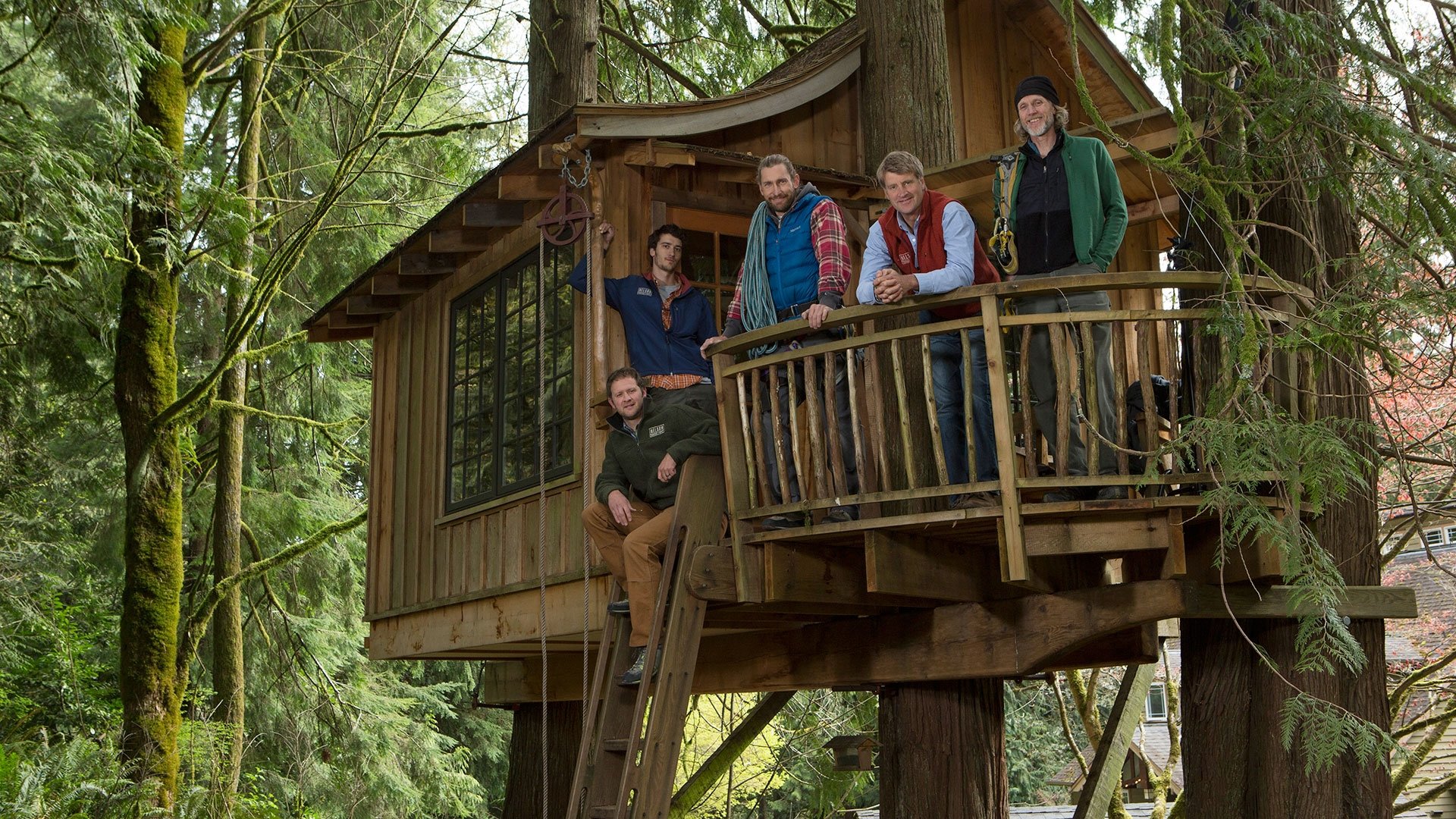 Treehouse Masters Background