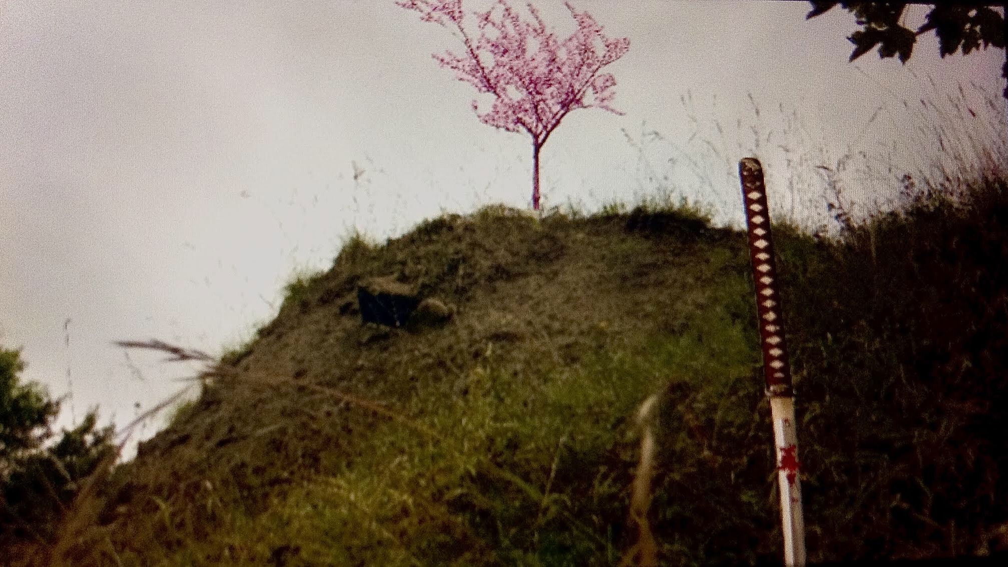 Havoc in Highfields Volume II: Call of The Cavalry Background