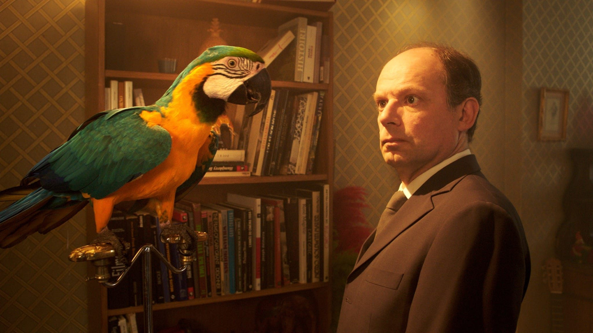 Le passe-muraille Background