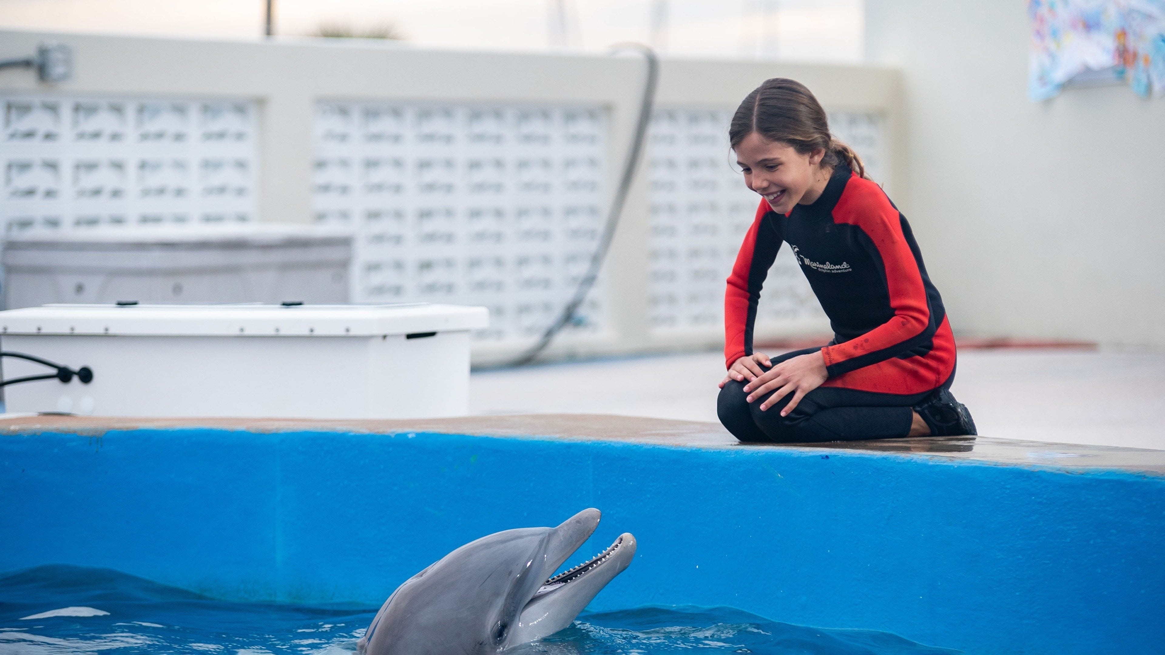 Bernie the Dolphin 2 Background