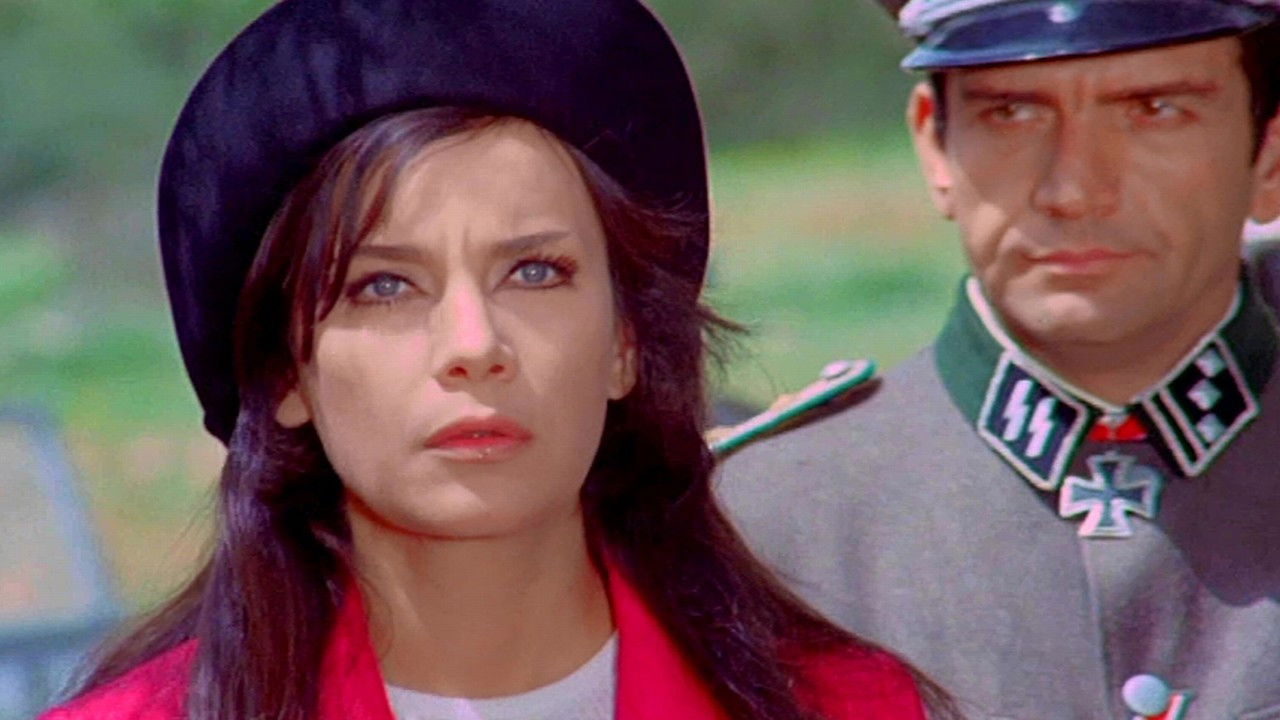 A Woman in the Resistance Background