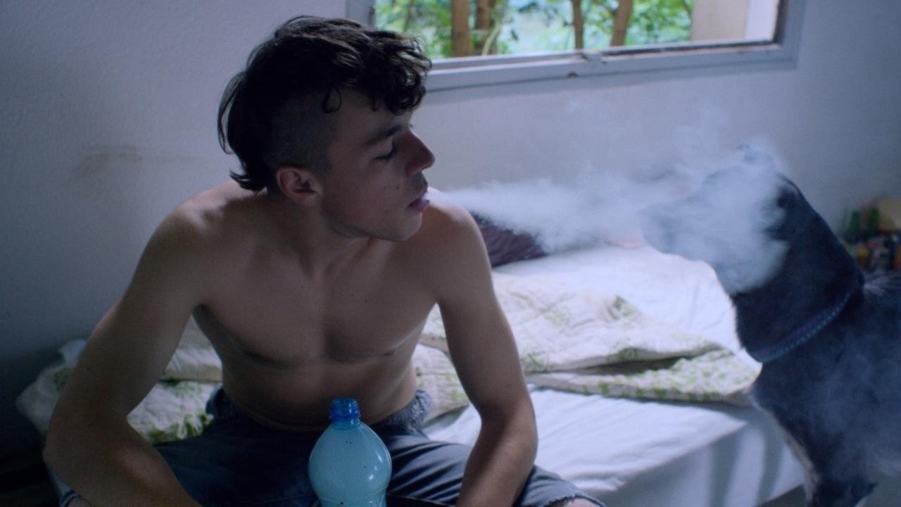 Still Life Background