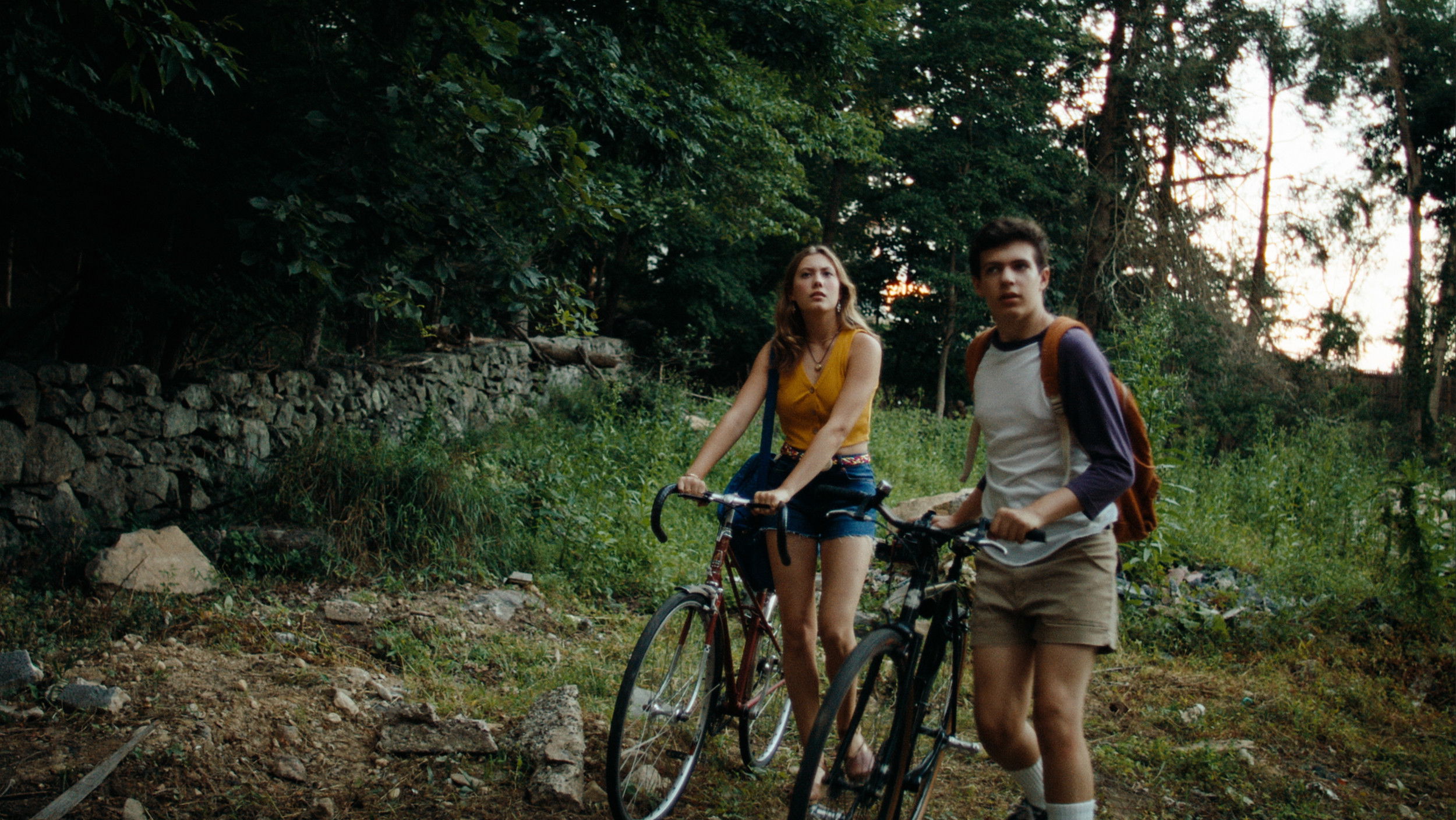 The Lake in the Sky Background