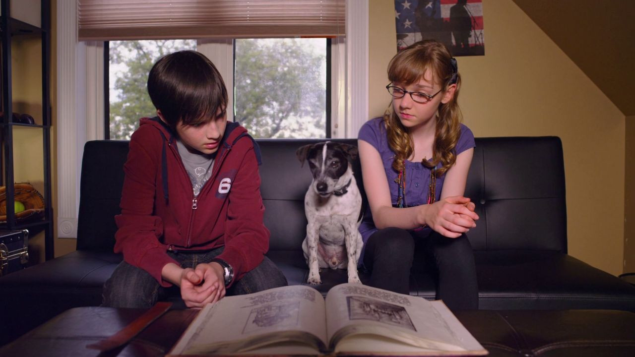 Vampire Dog Background