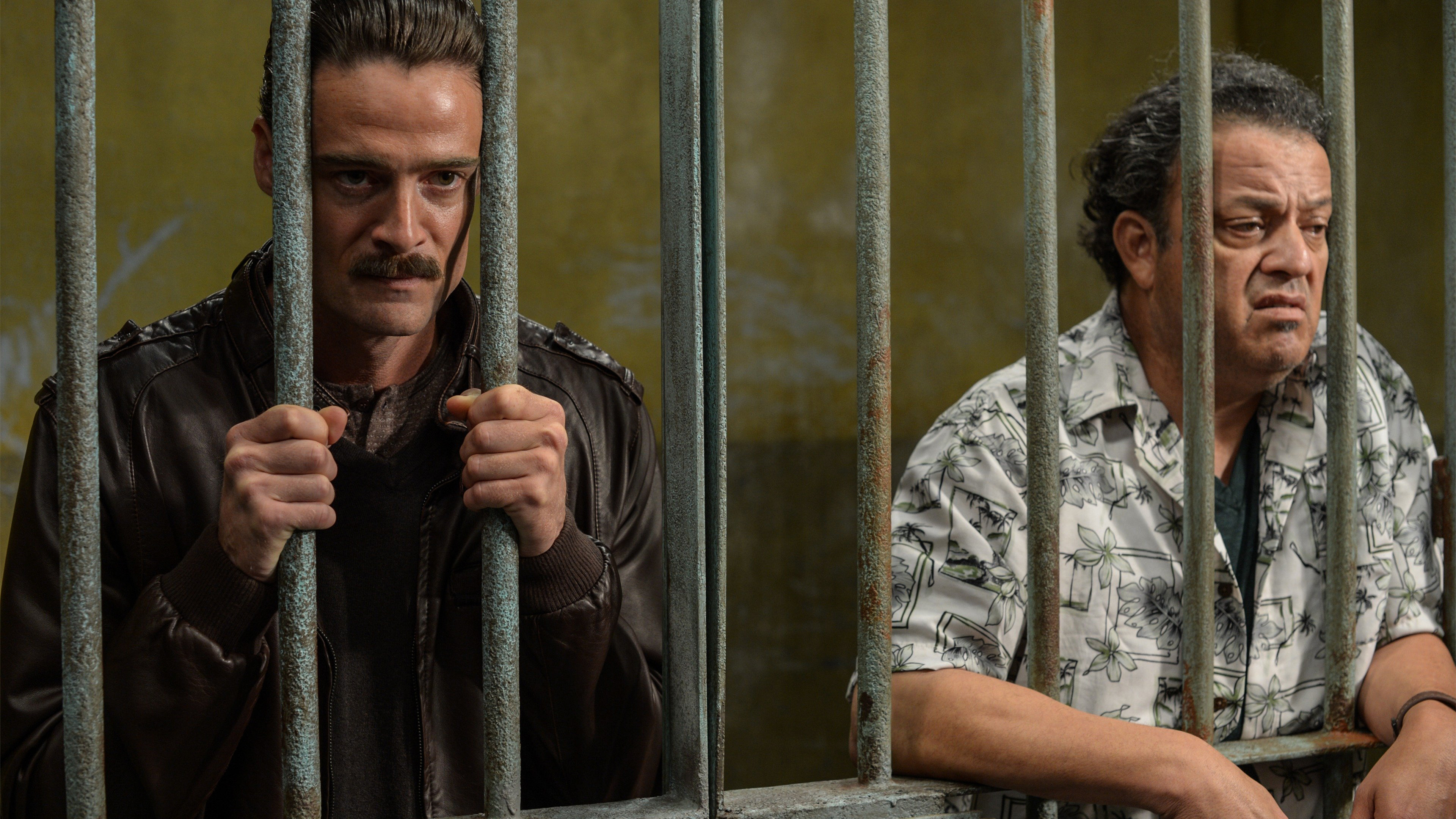 Ruta Madre Background