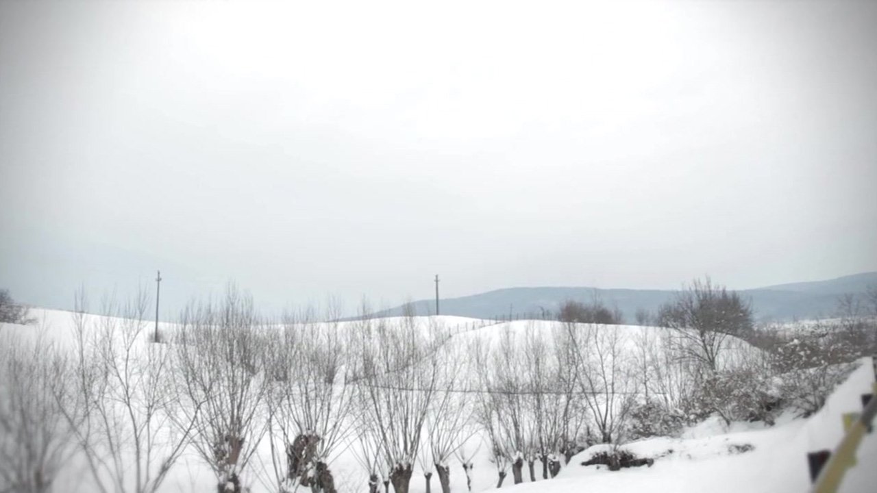 The Devil Within Background