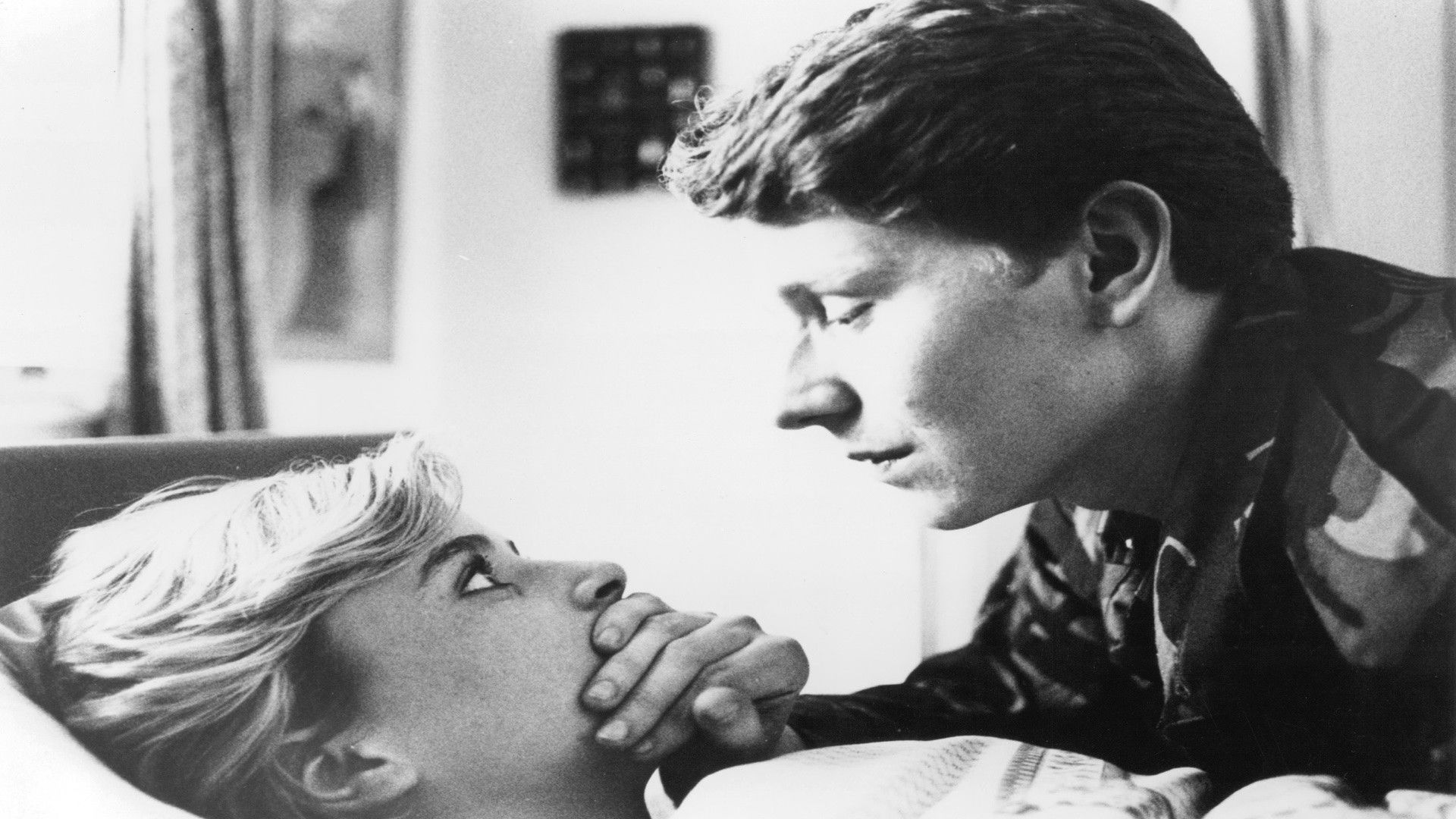 Winter Flight Background