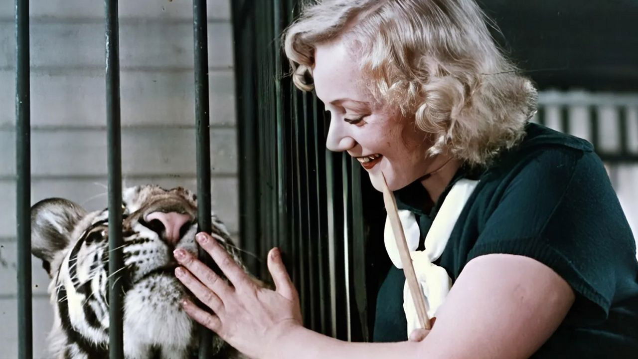 Tiger Girl Background