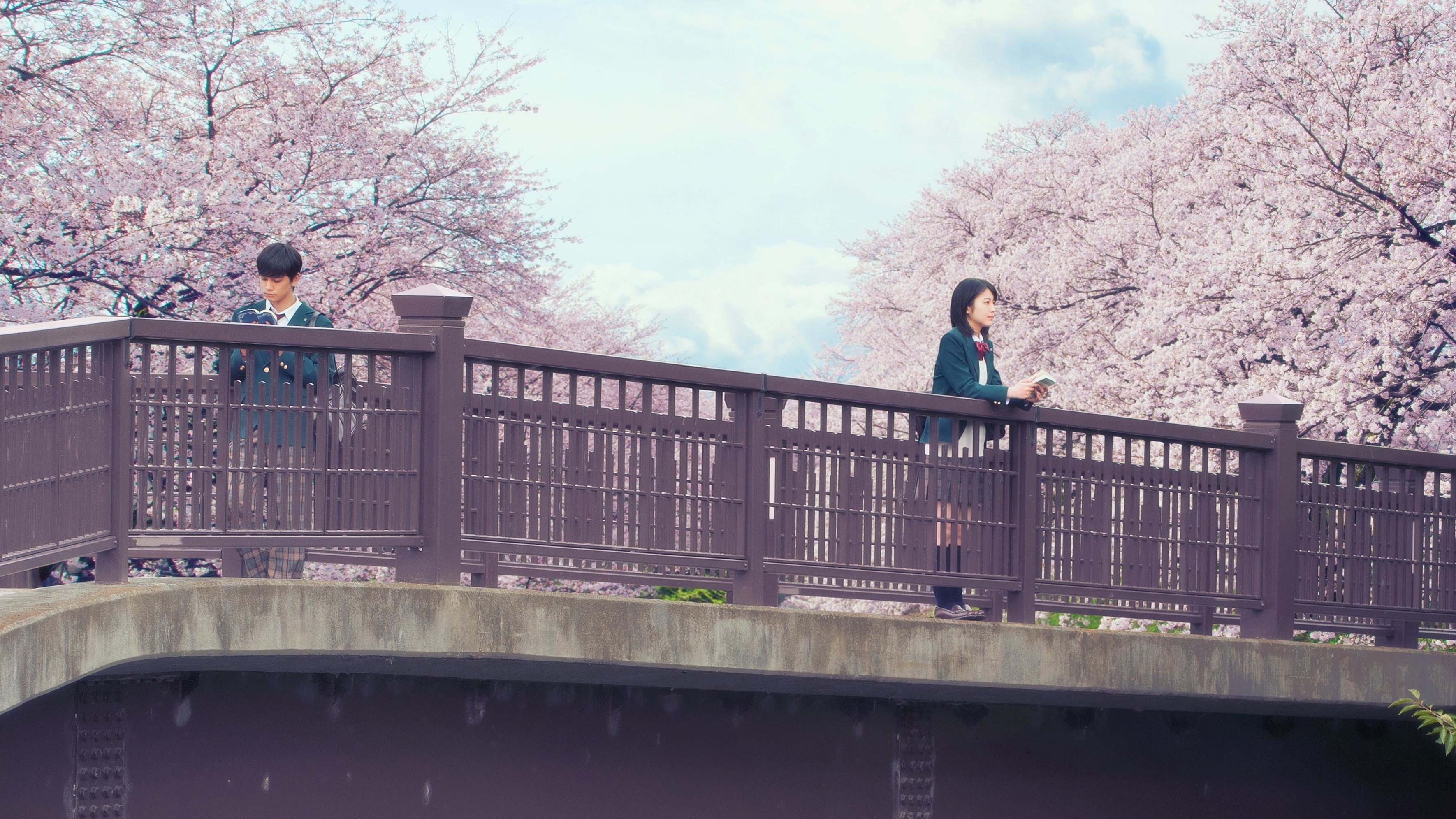 Let Me Eat Your Pancreas Background