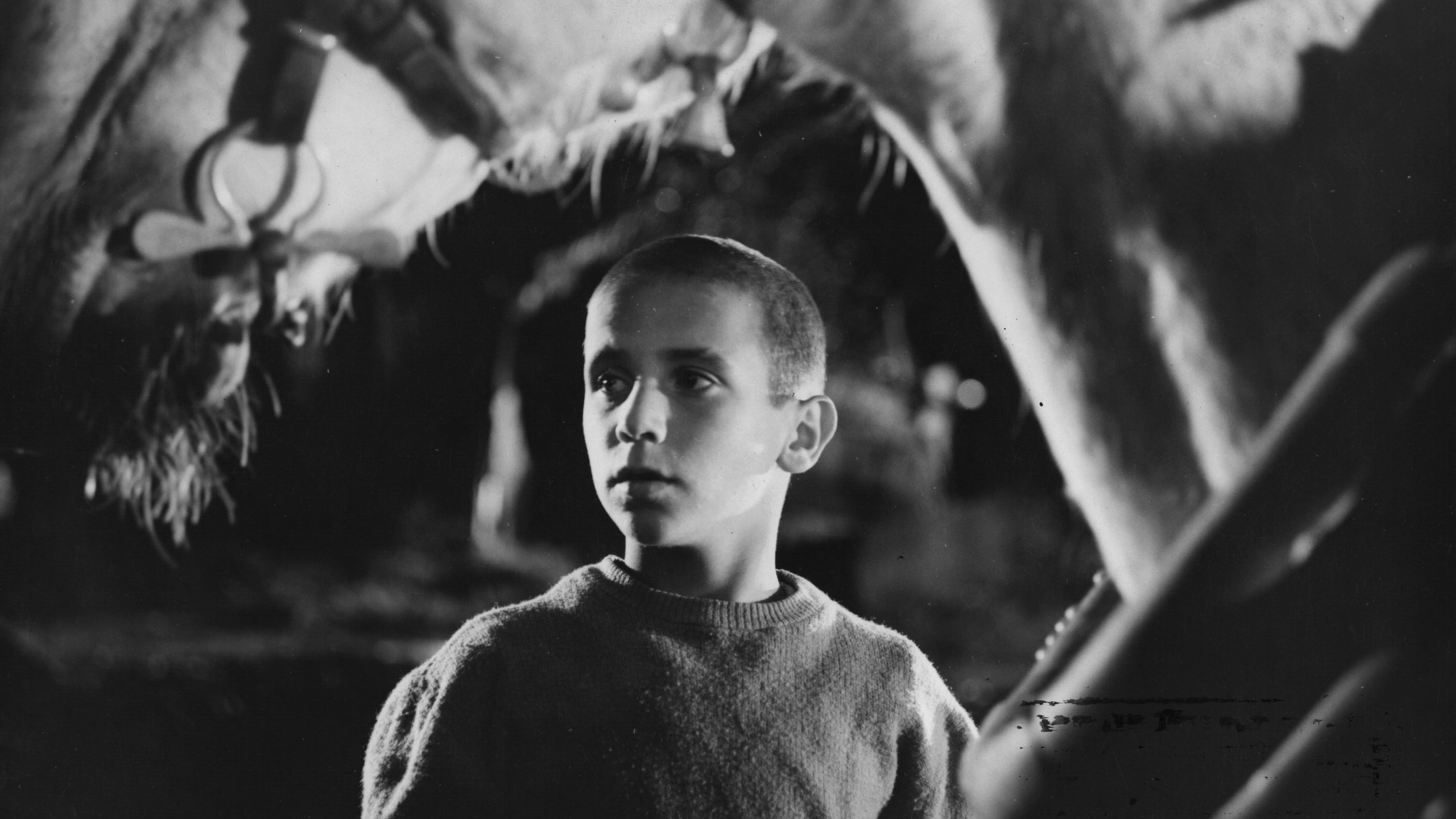 Crónica de un niño solo Background