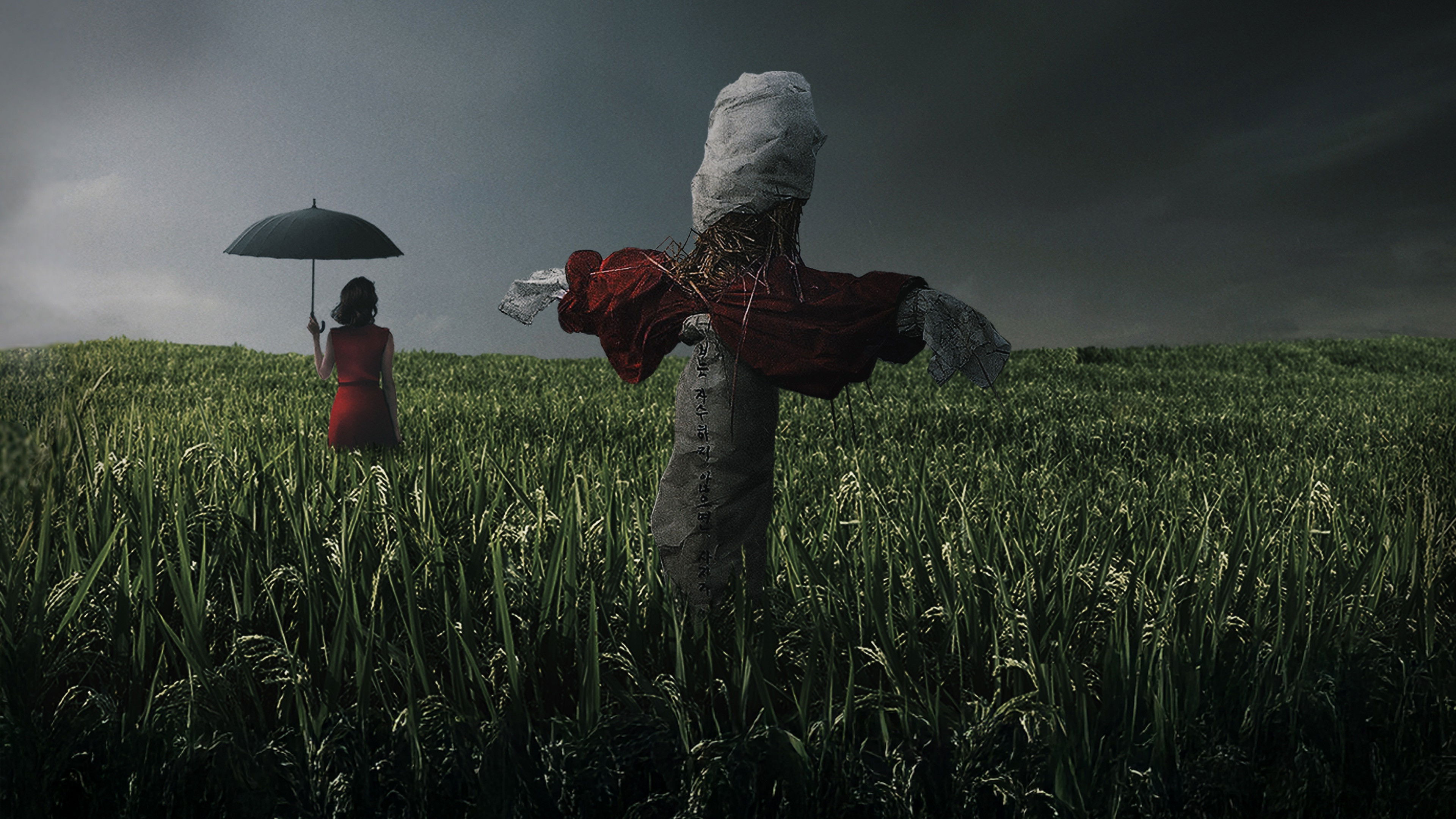 Memories of Murder Background