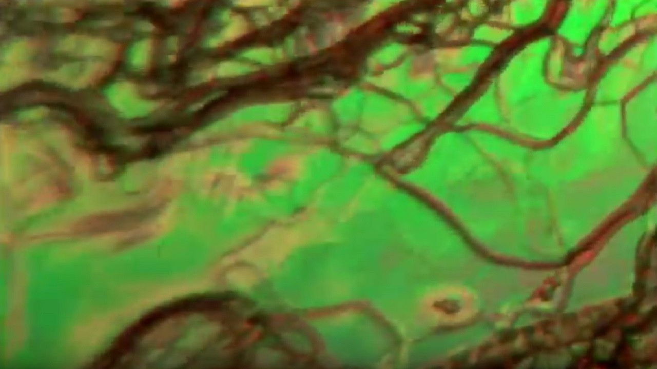 Liquid Crystals Background