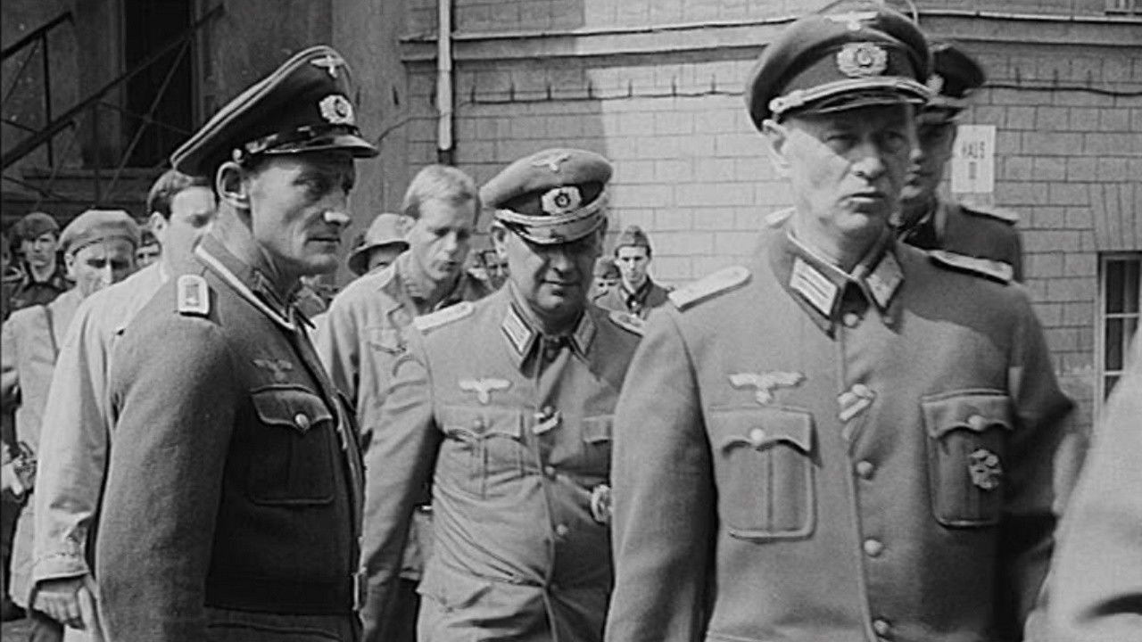 Rottenknechte Background