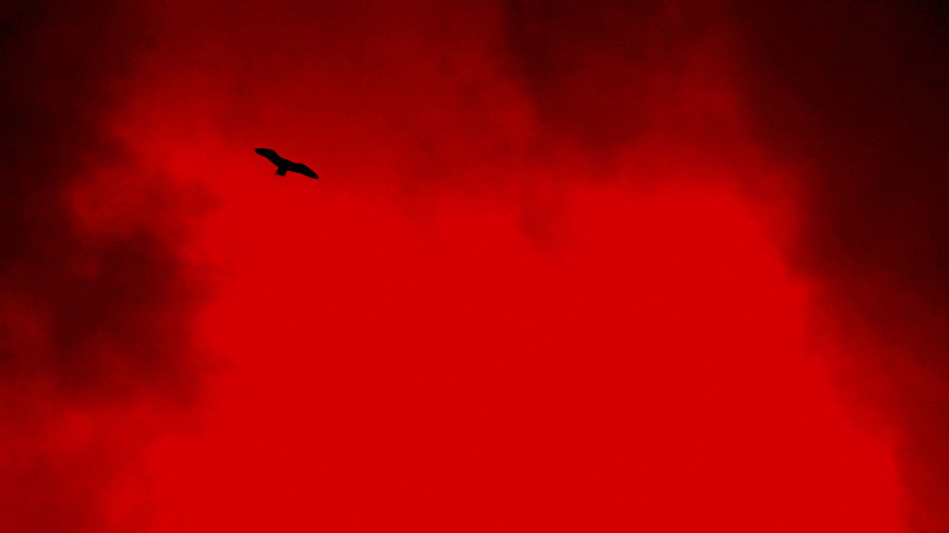 The White Death of the Black Wizard Background