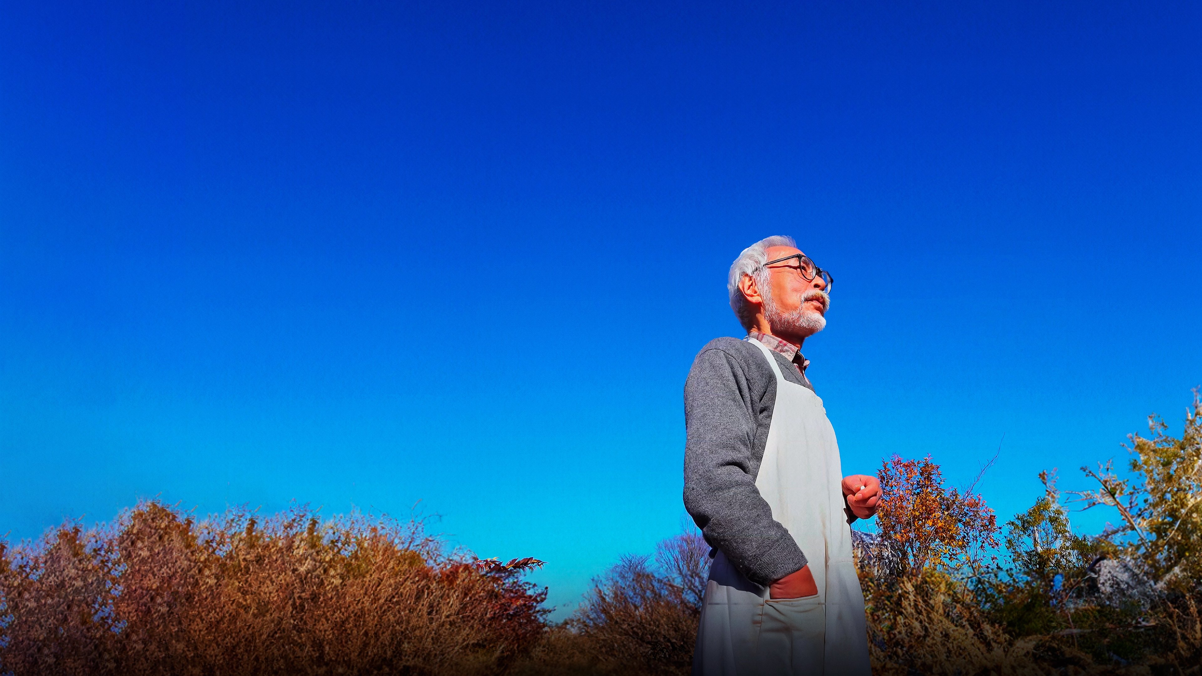 Hayao Miyazaki and the Heron Background