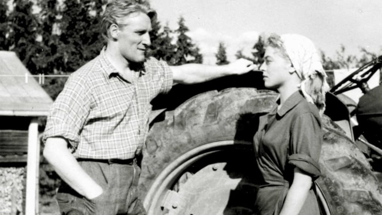 Kukonlaulusta kukonlauluun Background