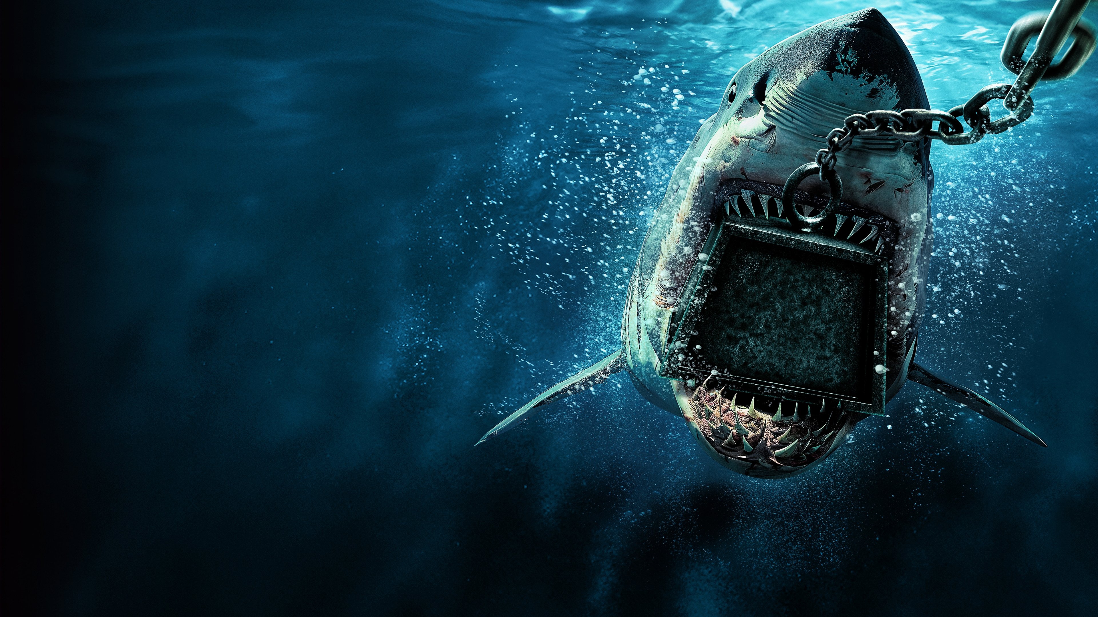 6000-LB. Shark Background