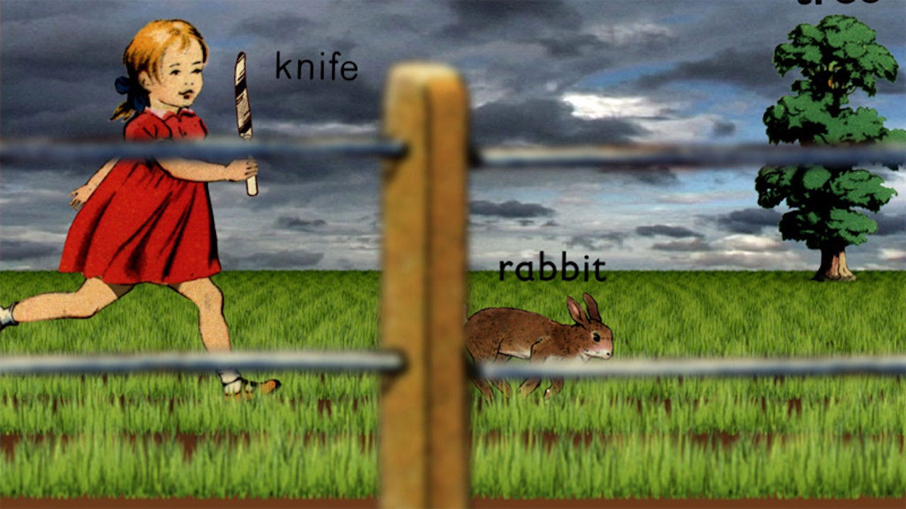 Rabbit Background