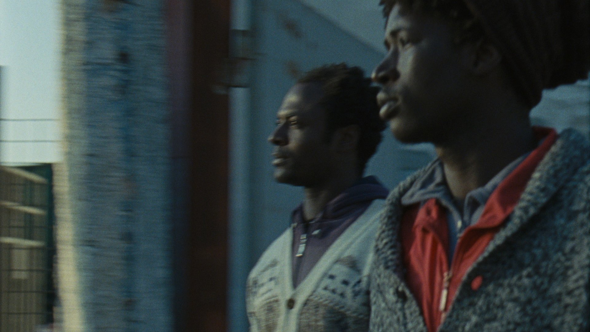 Mediterranea Background