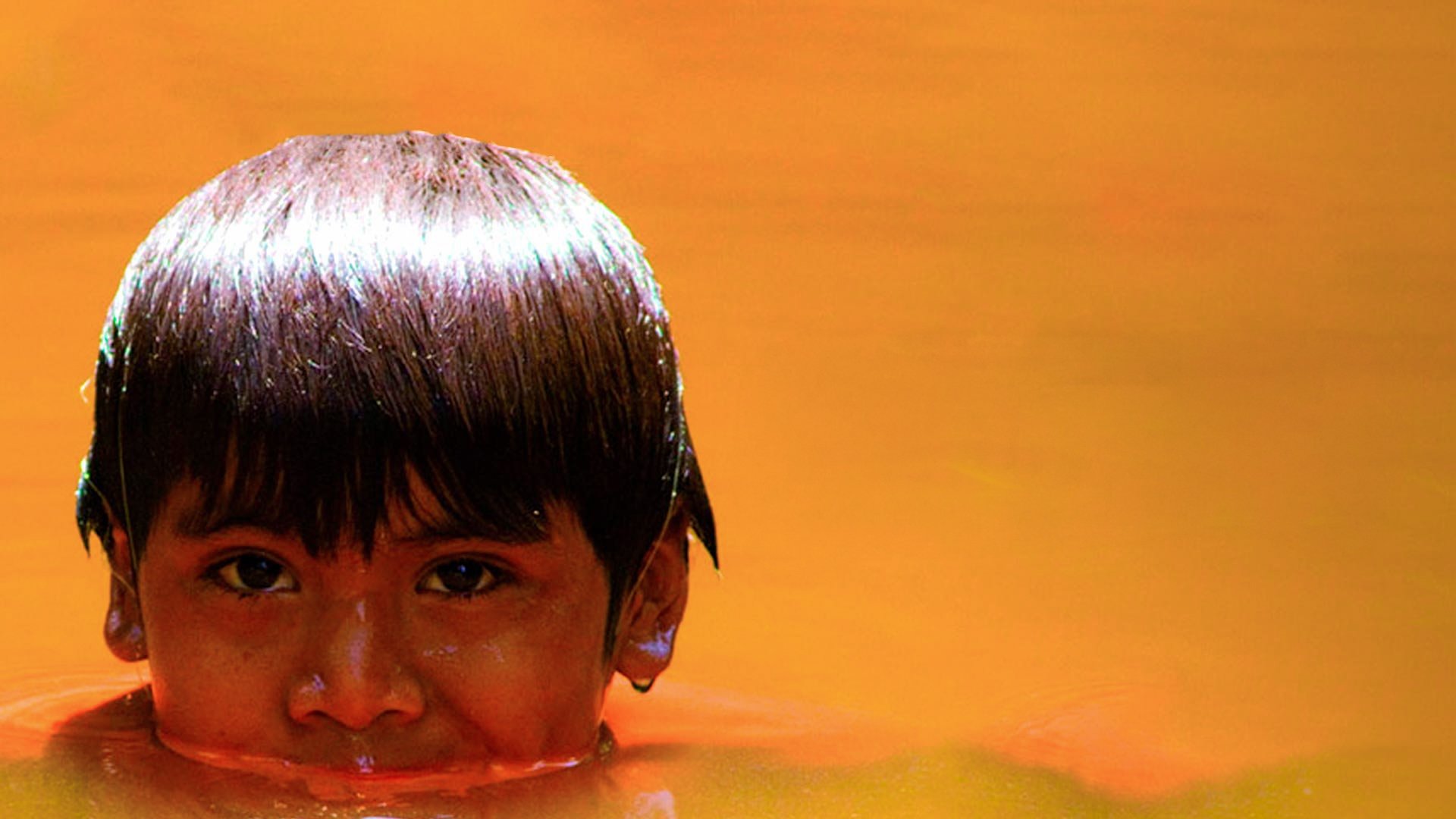 Apaporis, Secretos de la selva Background