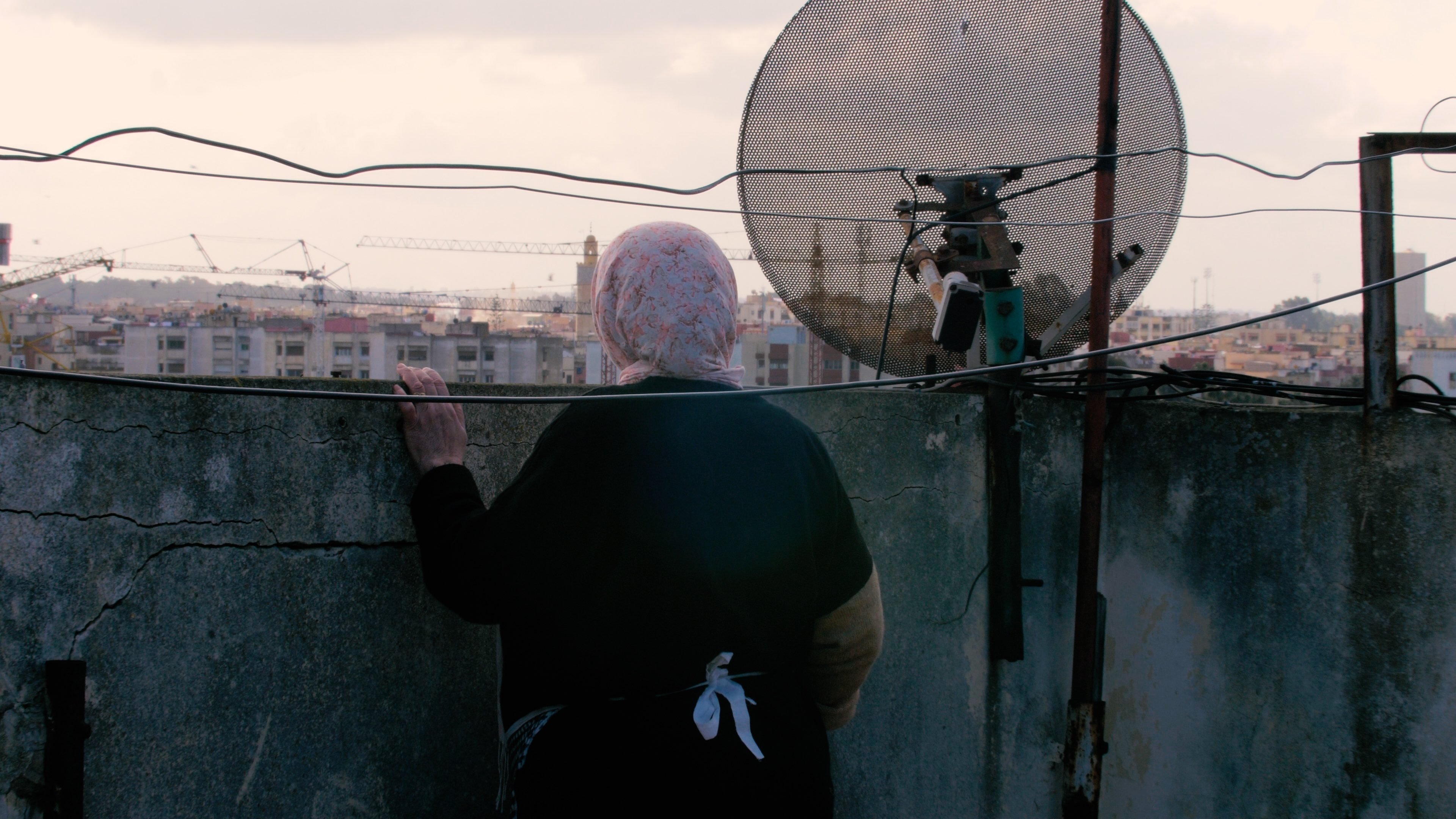 The Mother of All Lies Background