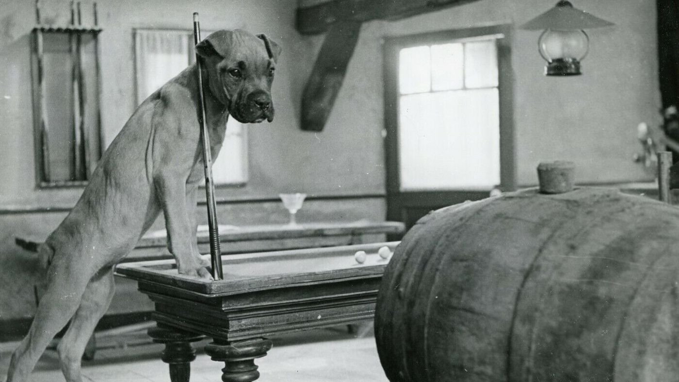 The Secret of Magic Island Background