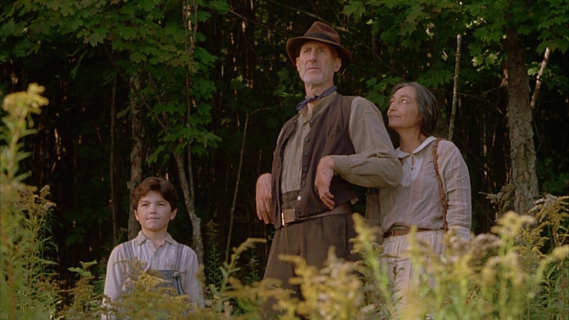 The Education of Little Tree Background