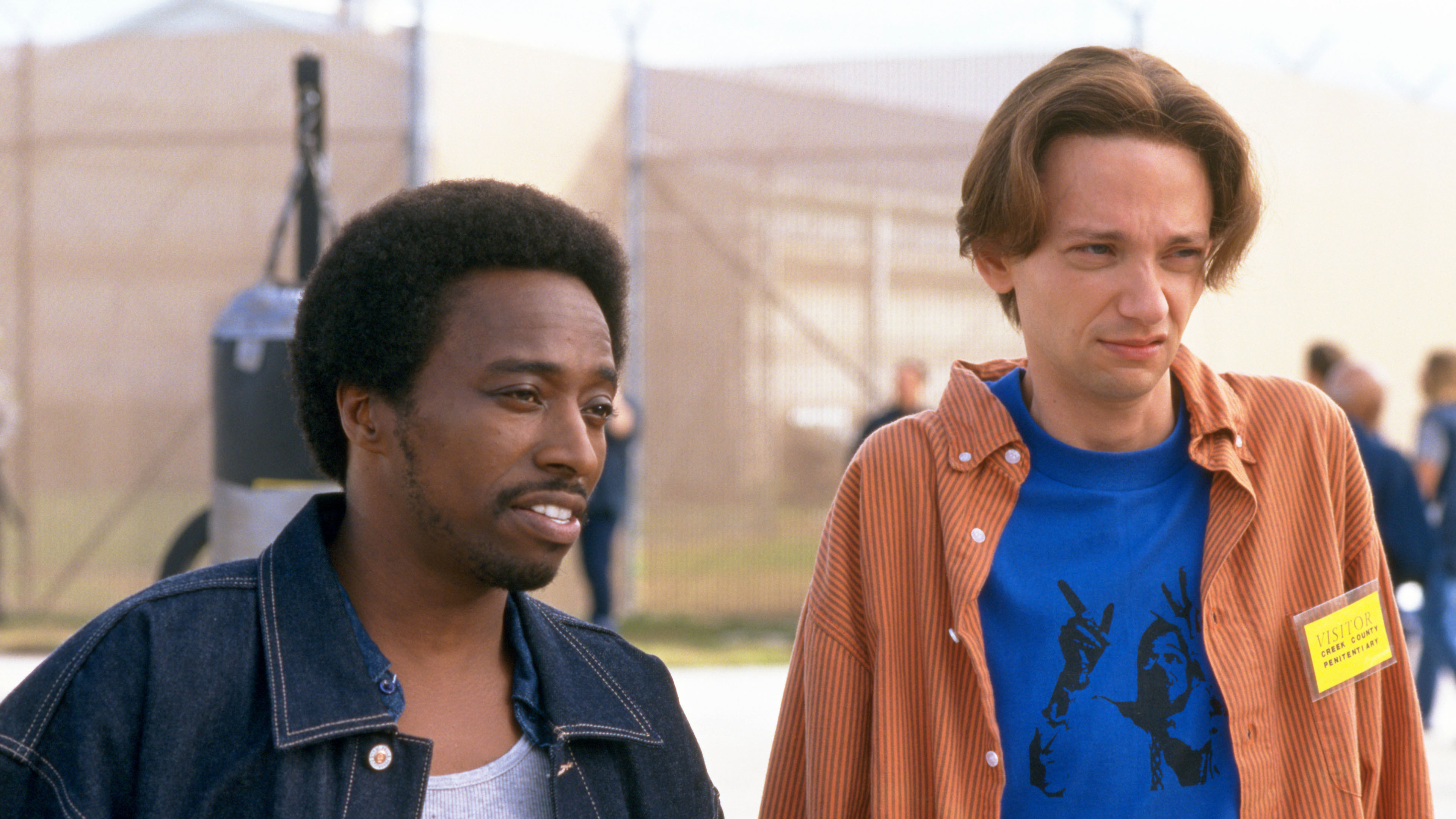 The New Guy Background