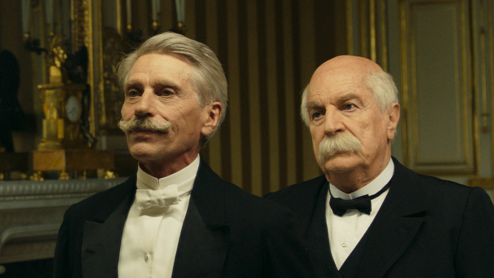 The Tiger and The President Background