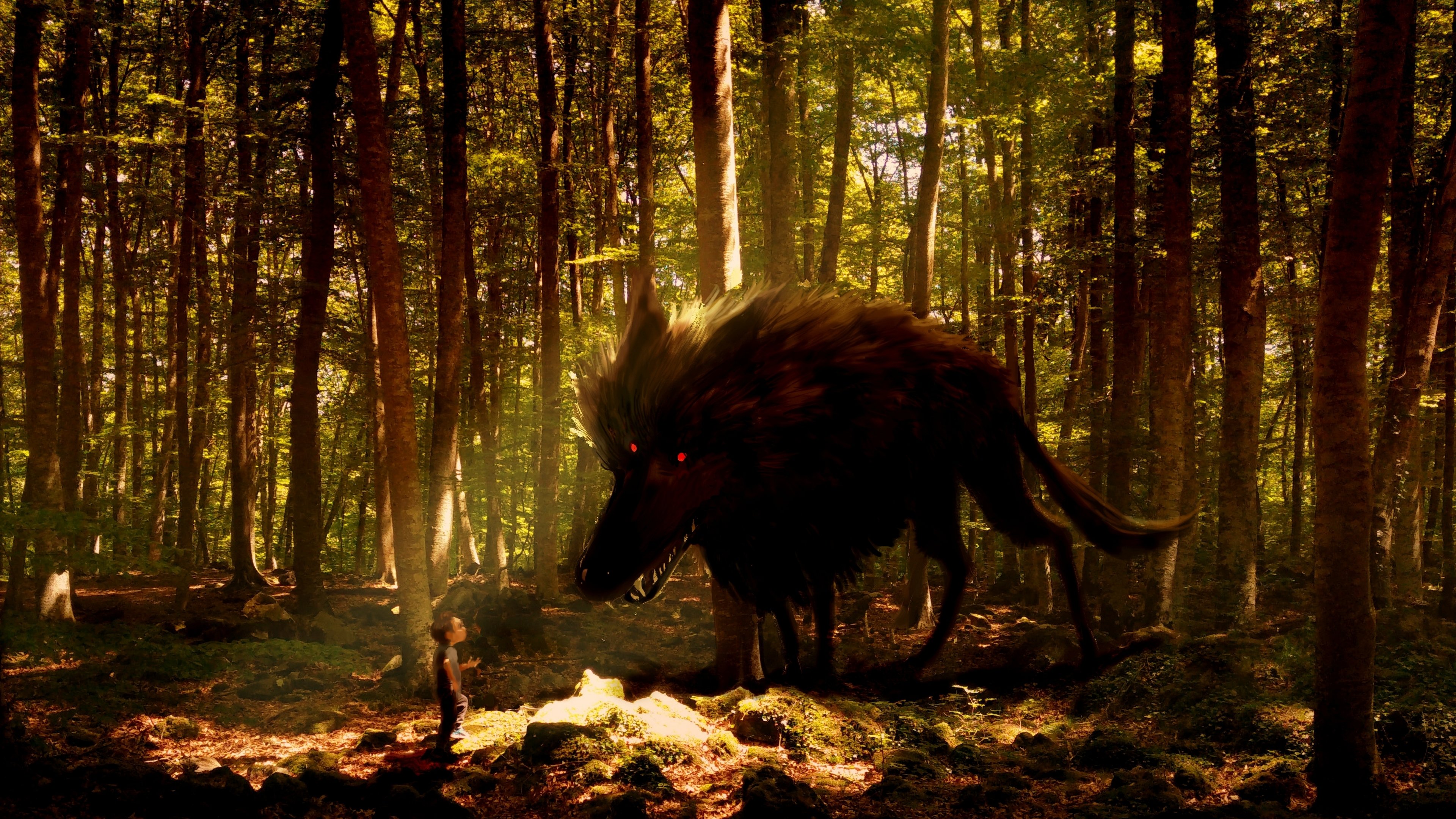 My Family and the Wolf Background