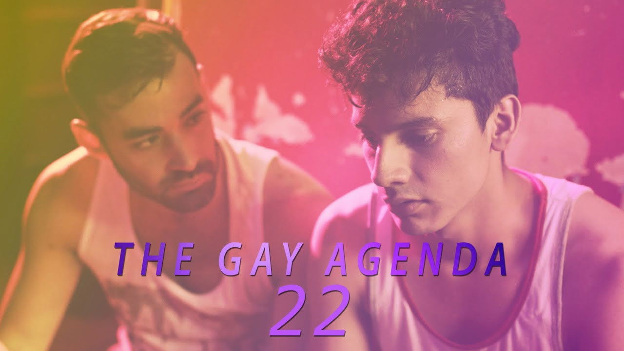 The Gay Agenda 22 Background