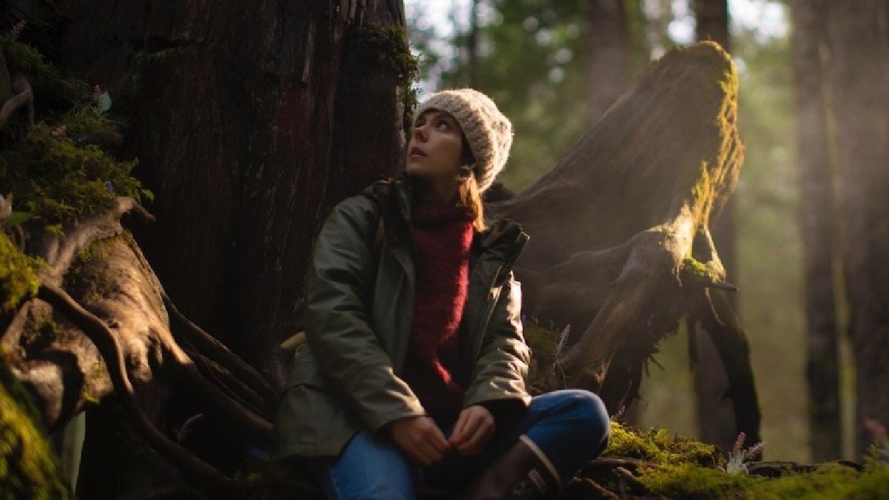 The Island Between Tides Background