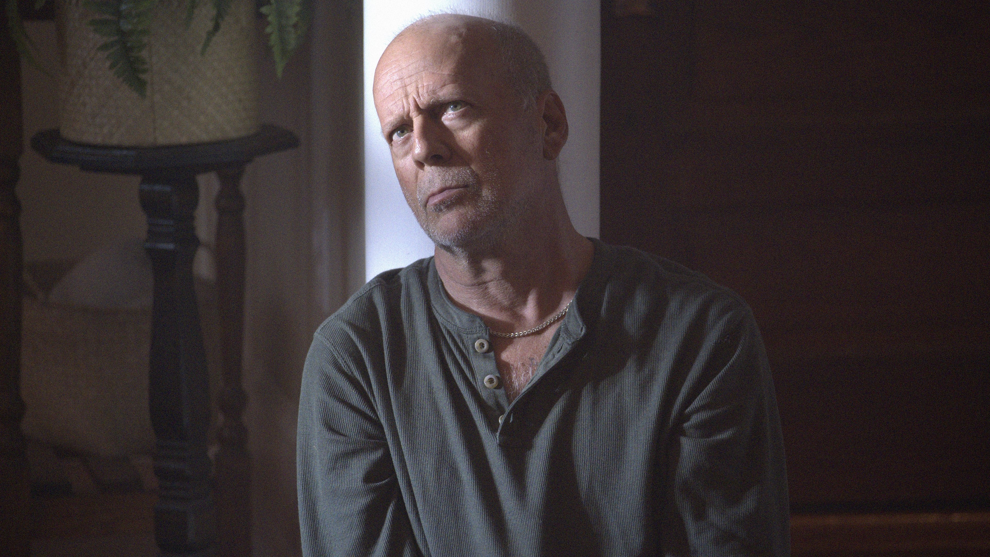 Survive the Night Background