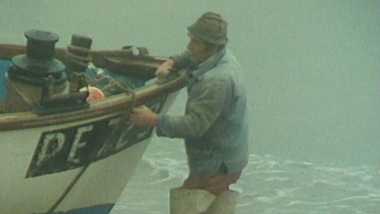 The Sea in Their Blood Background