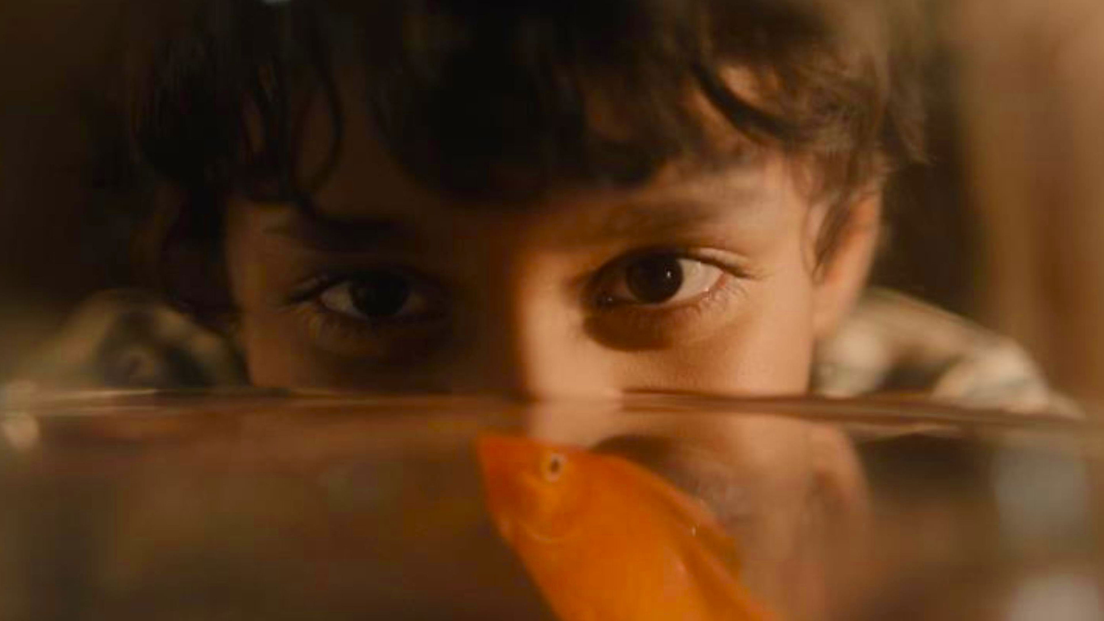 Blind Spot Background