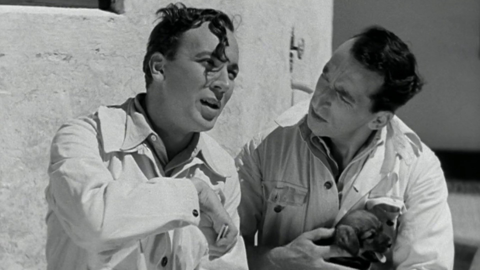 De bør forelske Dem Background