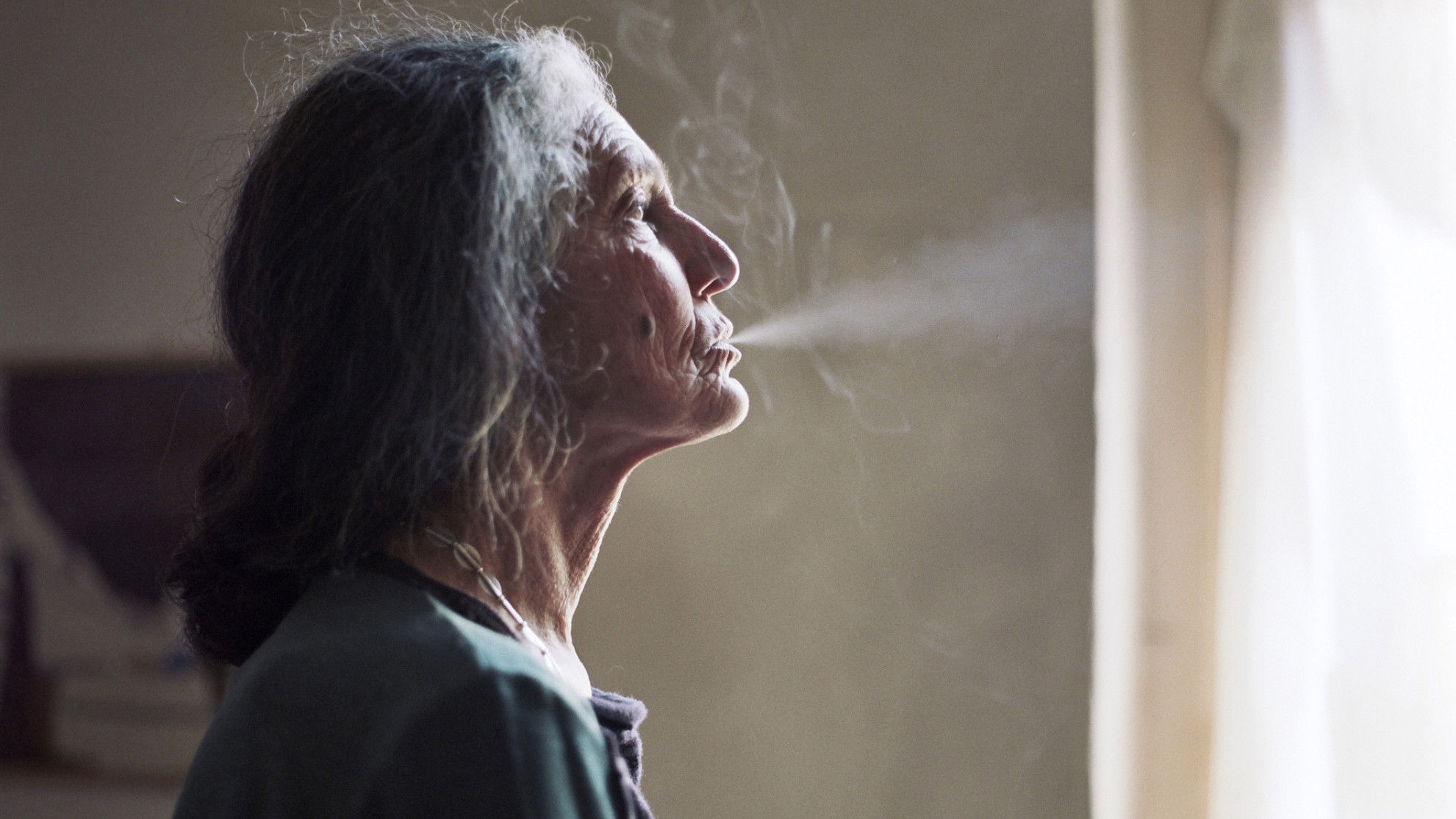 The Disappearance of My Mother Background