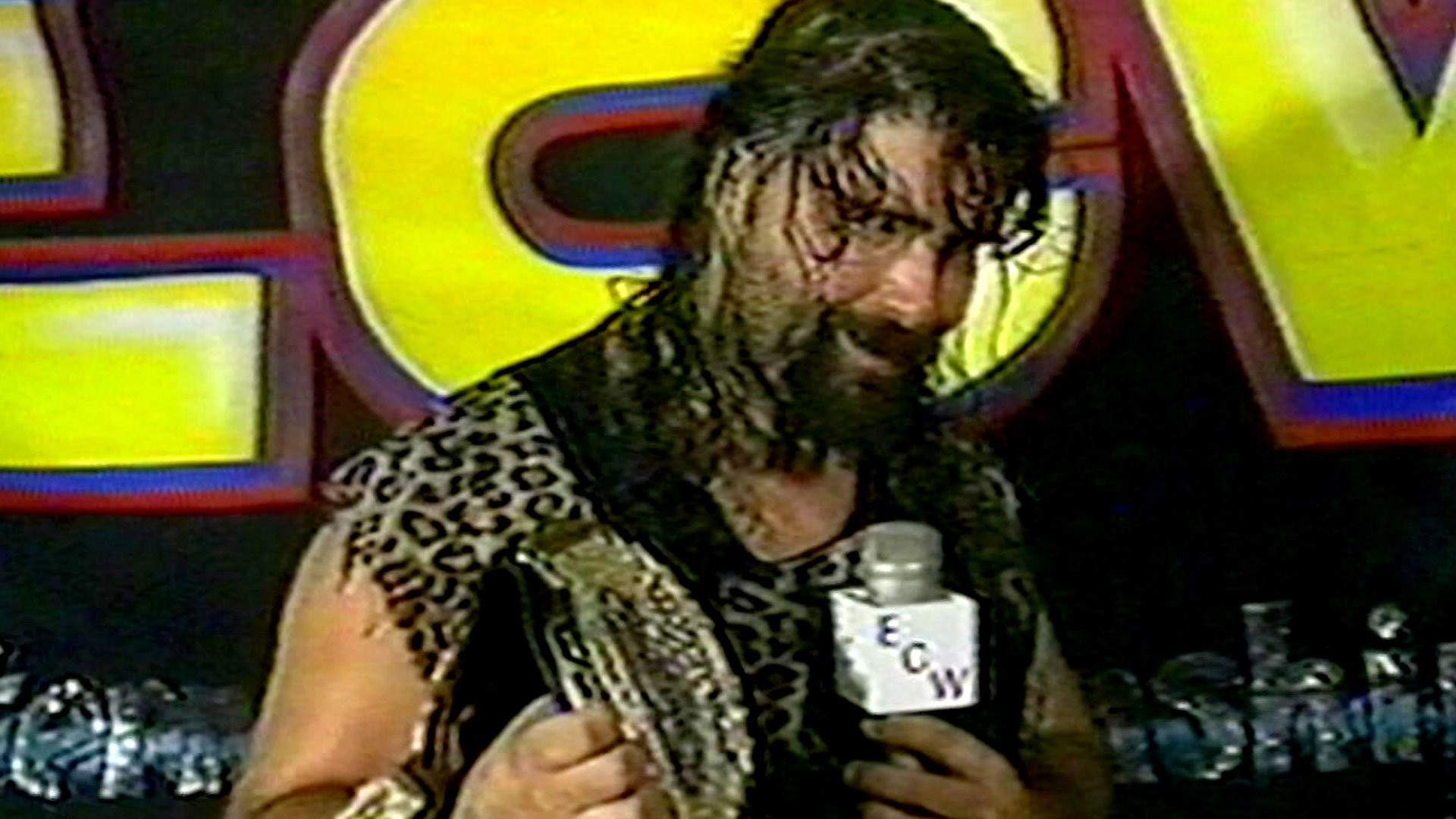 WWE: The Rise + Fall of ECW Background