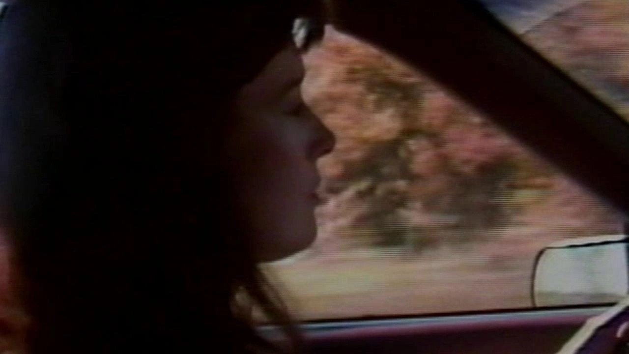 Savage Vengeance Background