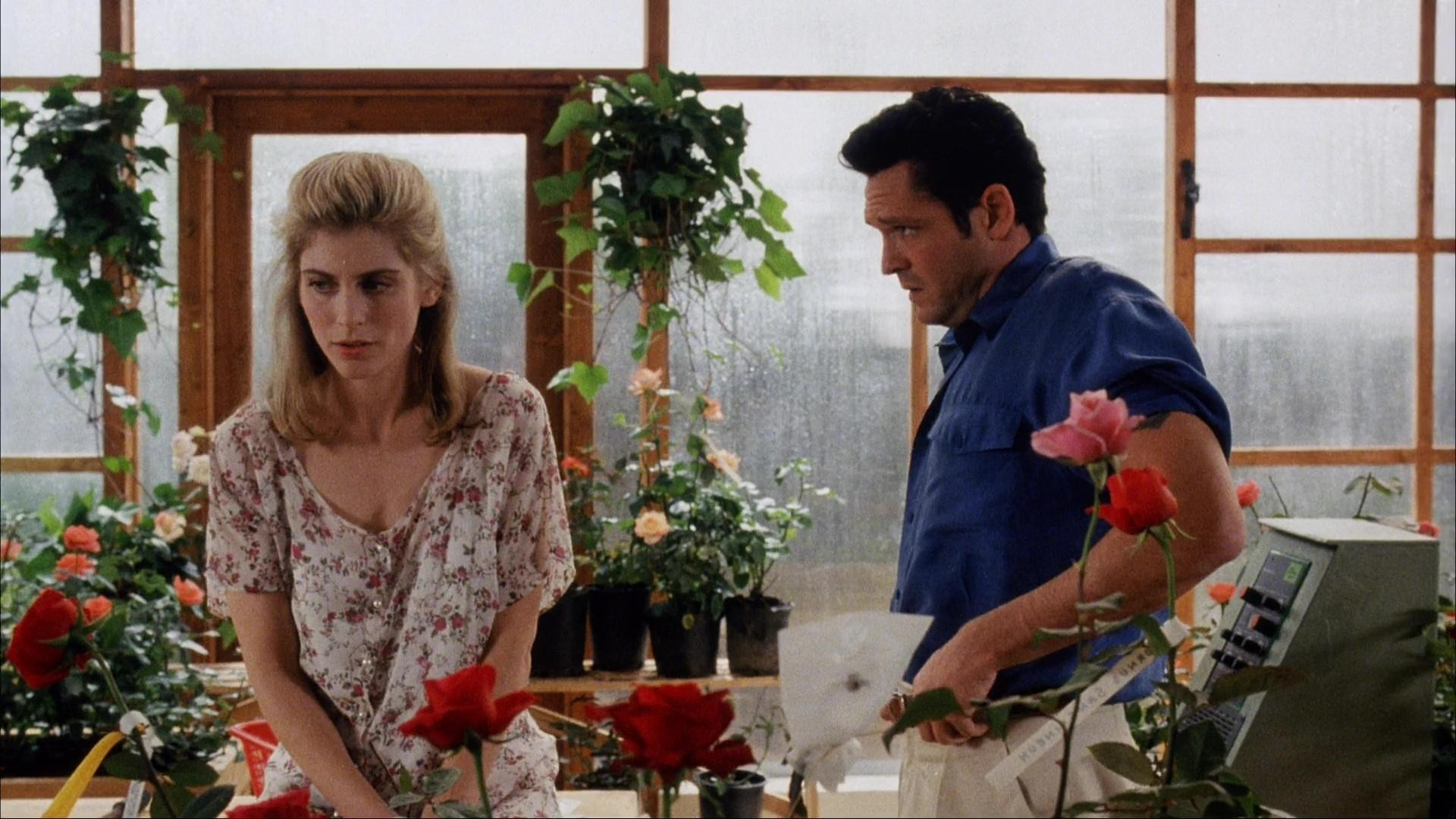 A House in the Hills Background