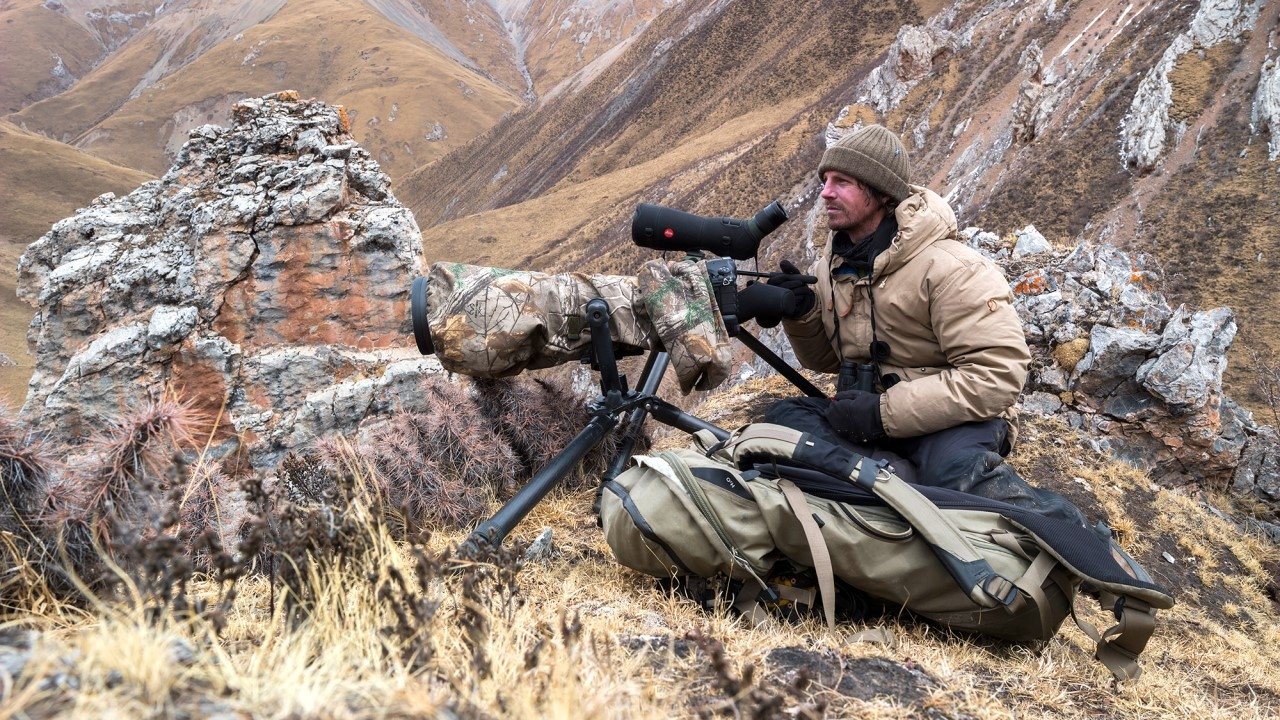 Sur les traces de la panthère des neiges Background